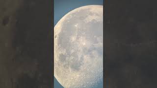 Morning Moon from Houston Tx #viralvideo #moon #luna #moonlovers #houston #space