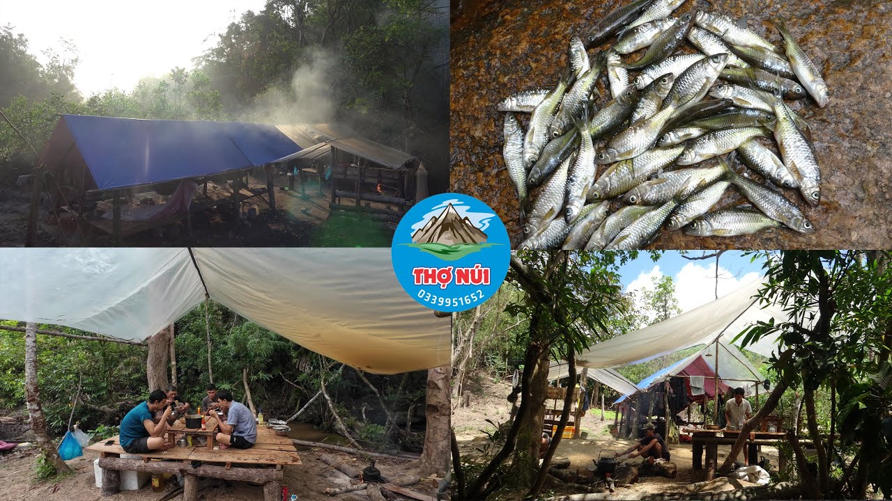 CHIẾC TRẠI SIÊU TO TRONG RỪNG, CUỘC SỐNG ĐÁNH BẪ.Y SĂN ĐÊM TRONG RỪNG - RỪNG LỚN - T26