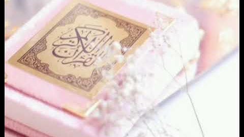 سورة نوح: القارئ احمد عامر