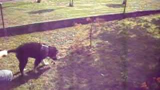 DSCI0075.AVI