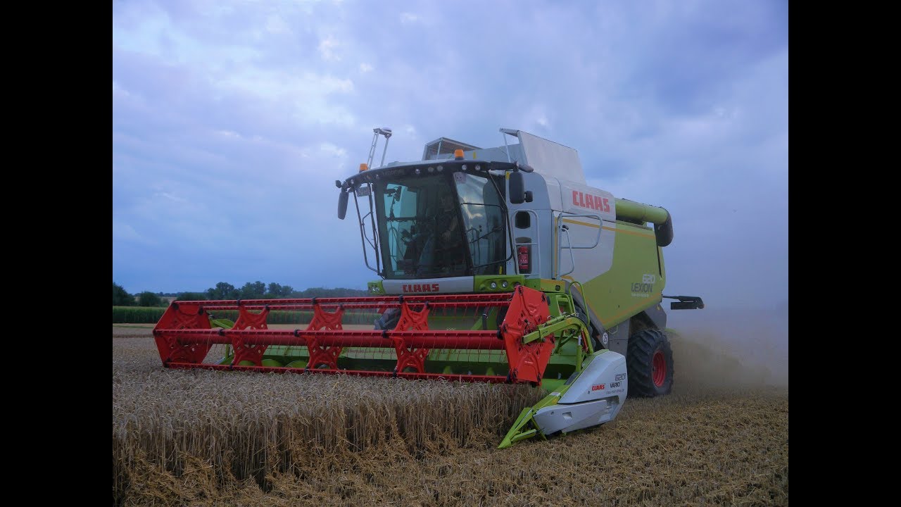 Getreideernte 2017 | Claas Lexion 620 | Claas V 620 | Claas Arion 550 | Weizenernte | DJI | [1080p]