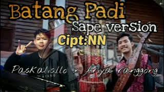 Lagu Dayak Pesaguan Batang Padi (cover) Sape' Dayak||@ariaranggong6124 x @DellProject