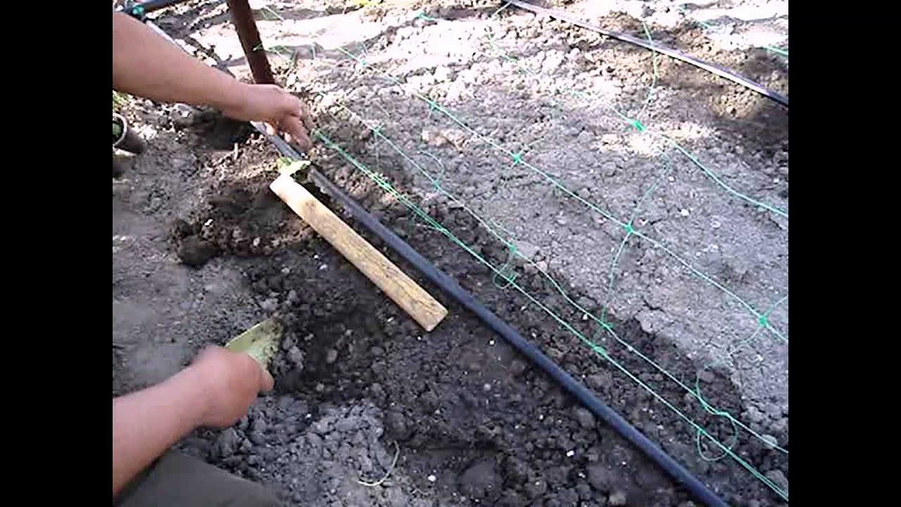 Посадка рассады огурцов в открытый грунт!!! Growing cucumbers,landing !!!