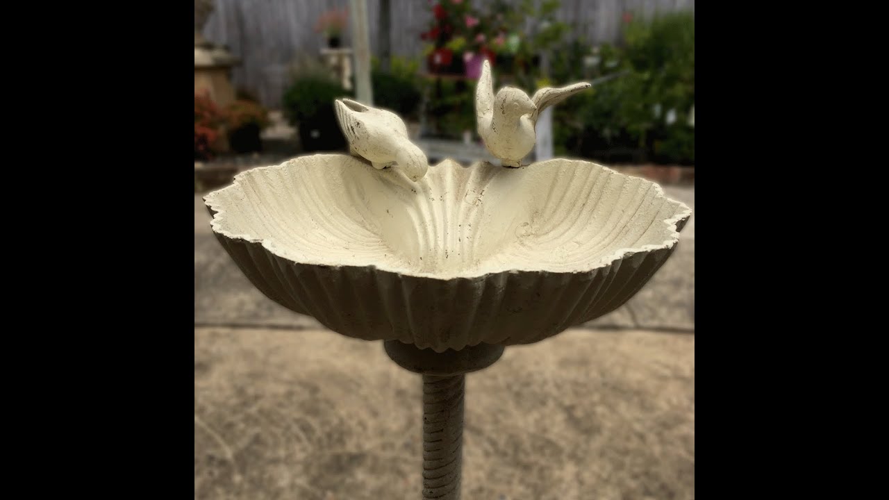 Cream Antique Style Bird Bath YouTube