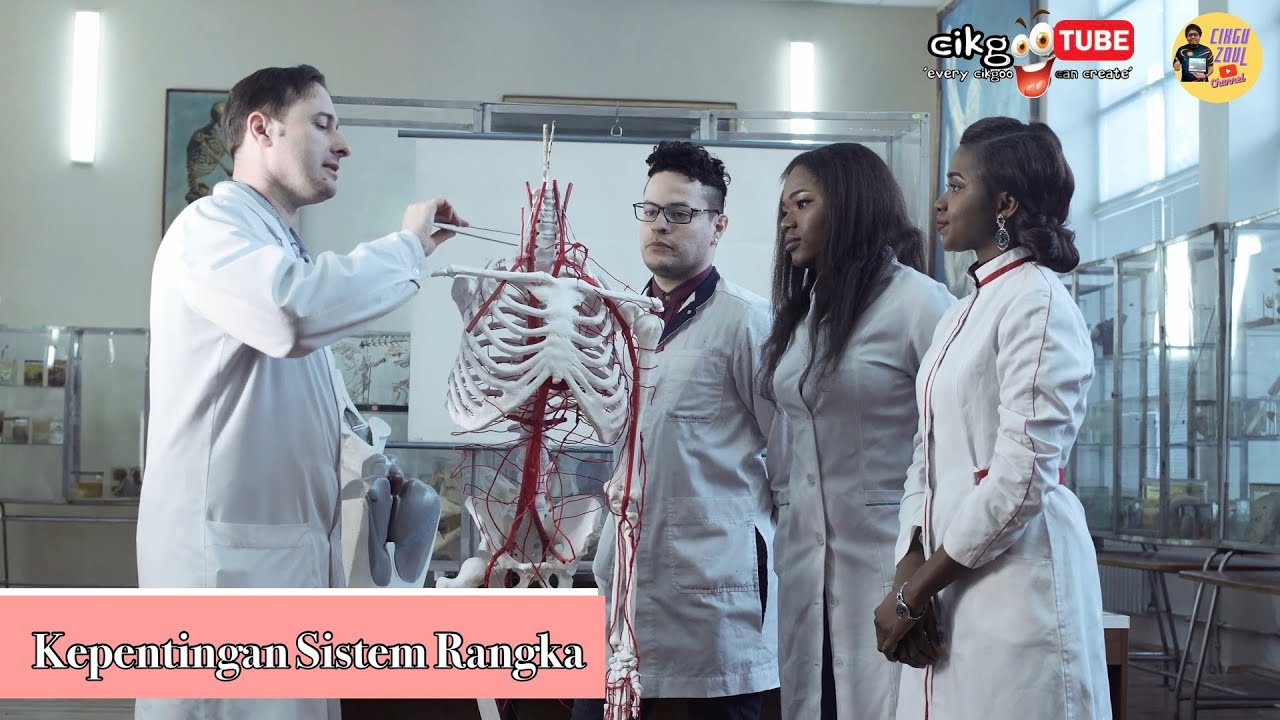 Sains Tahun 5 Kepentingan Sistem Rangka Youtube