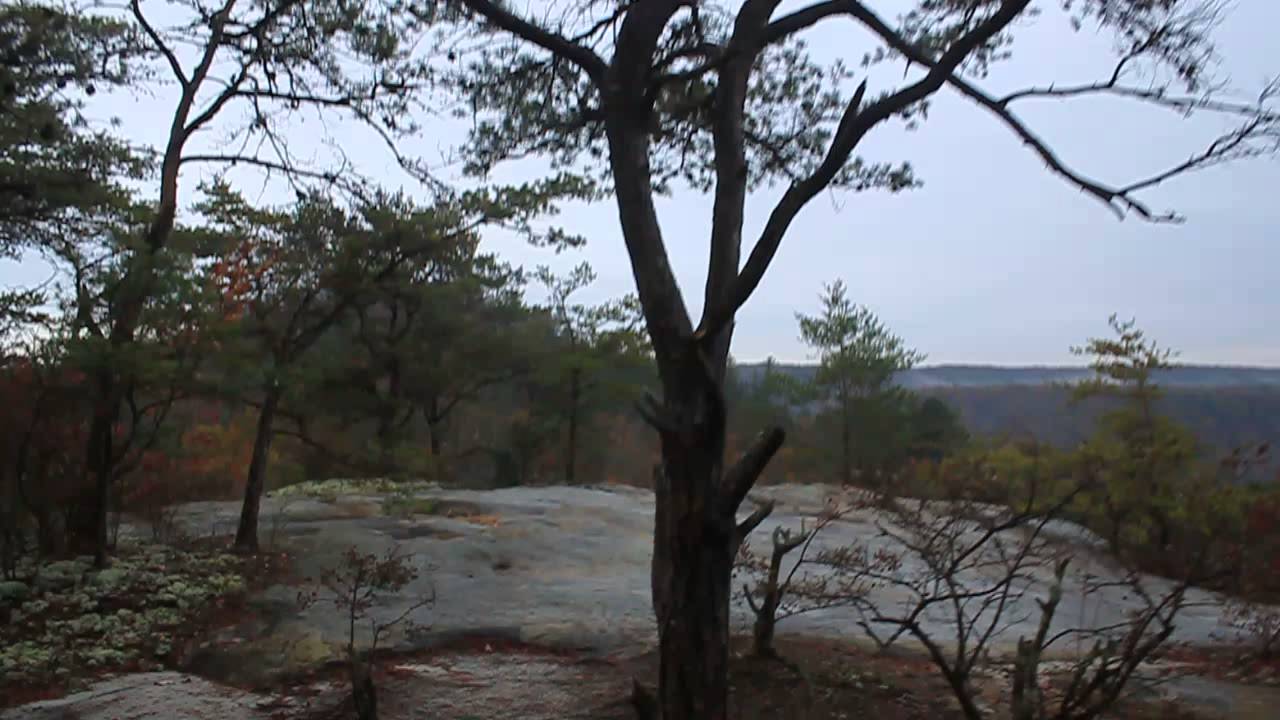 View from the top of South Arch.