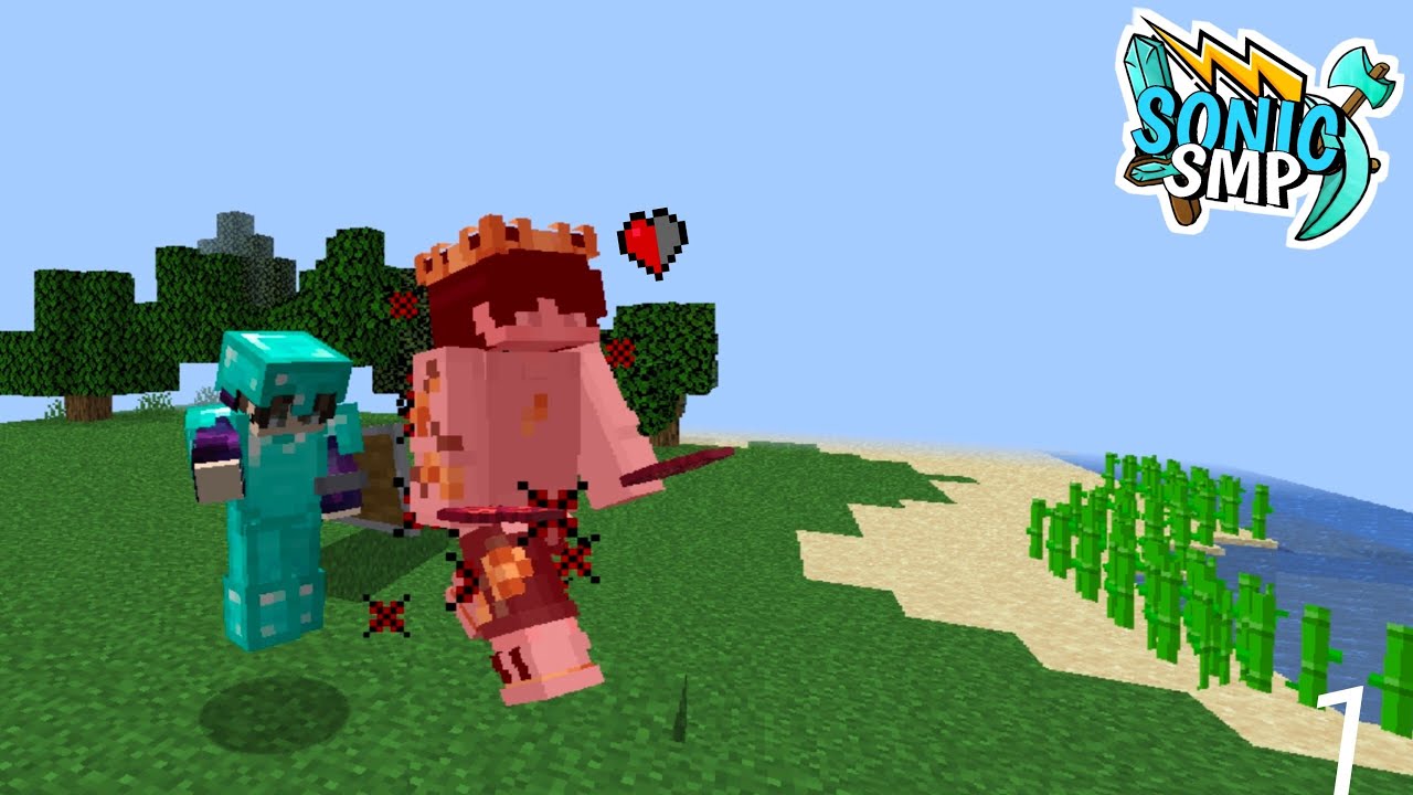 Stealing heart from my enemy in lifesteal SMP||@NizGamer @SenpaiSpider