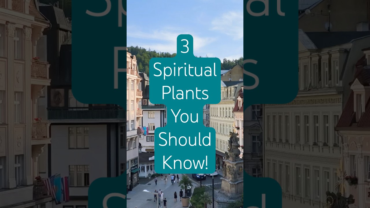 3 Sacred Plants & the Cultures That Honor Them 