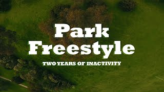 Back in action - FPV Park Freestyle Diatone M540