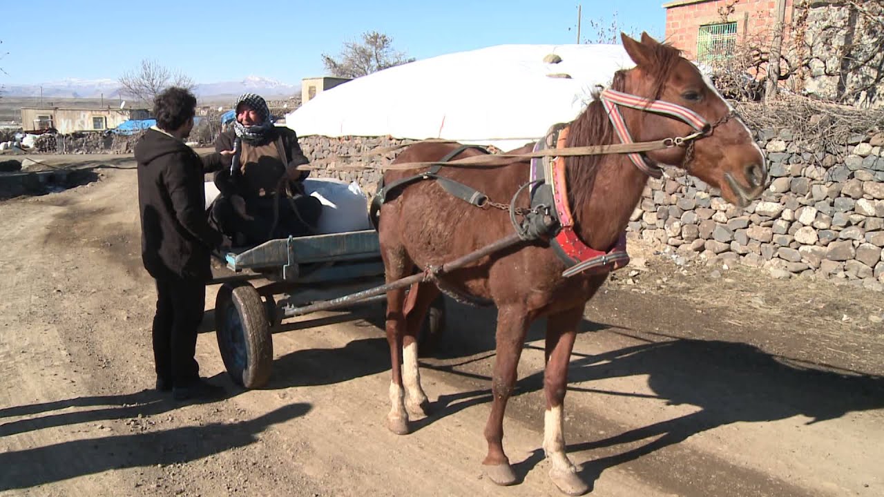 TANYA ADIRÎ [ KİRDKÎ ] RÎHA / SEWREGİ  ( 26.12.2013 )