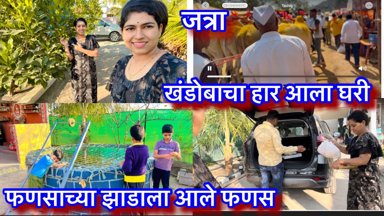 आज दाजींना जत्रेत  दिला खंडोबाचा हार || फणसाच्या झाडाला आले छोटे फणस || खंडोबाची जत्रा स्पेशल ….