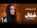 سریال شغال قسمت ۱۴ چهاردهم امیرحسین فتحی و مهدی سلطانی مرور کامل 
