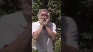 Old Mans Beard Must Go davidbellamy