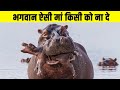 ऐसे जानवर जो अपने बच्चों को ही मार डालते हैं| Worst Animal Parents