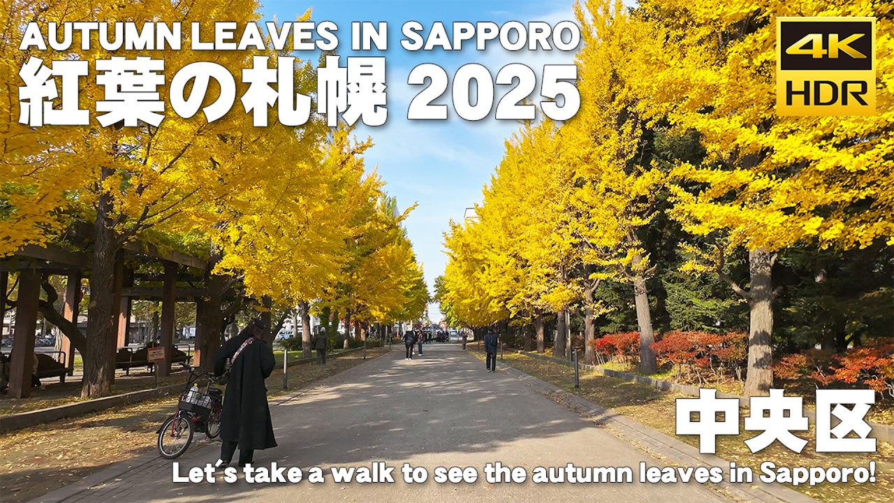 🇯🇵紅葉で色づいた 札幌の街 散歩 2025 / 日本 北海道 札幌市 [4K HDR Binaural ASMR]