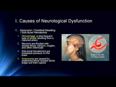 Cog Neuro Lecture #12   Methods: Brain Disorders