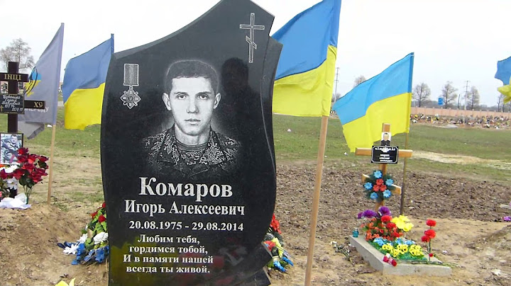 Мамо, не плач, я повернусь весною.