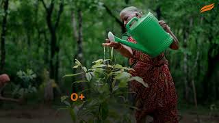 Growing a Greener Future | World Environment Day 2025
