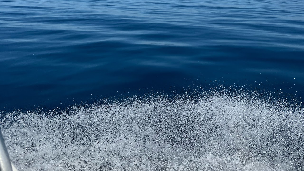 X-X-XREDDOGX-X-X like and follow. Download the game and join. Warframe litch grinding