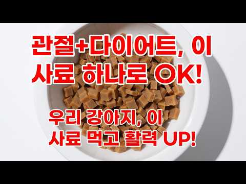 우리 강아지 관절 건강과 체중 관리, 본아페티 플러스 수제사료로 한번에 해결!