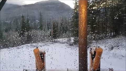 Building shelves in the storage container - Dec 2, 2020