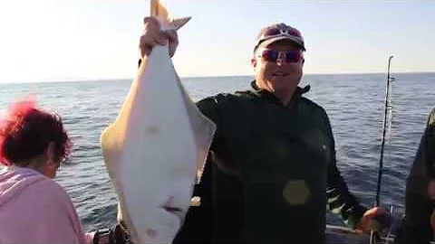 HUGE Alaskan Halibut Fish
