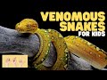 Venomous Snakes Quiz