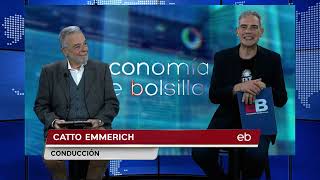 Economía de Bolsillo programa 333