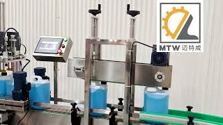 Famous MTW automatic press capping machine Wealth