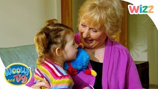 Woolly and Tig - Day With Granny | Full Episodes | Toy Spider | Wizz | TV Shows for Kids