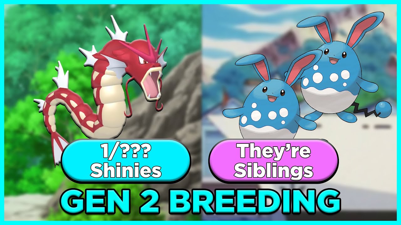 Breeding Pokemon In Gen 2 Is Wild