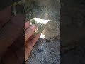 What is this Mysterious Golden Treasure? | Beachcombing Find