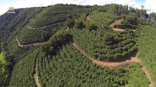 Fazenda Santa Inês Fazenda Santa Ines Coffee