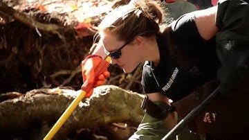 Forestry & Environmental Management at UNB (Fredericton)