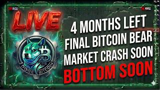 4 MONTHS LEFT OF BITCOIN BEAR MARKET! FINAL BITCOIN CRASH THIS SUMMER? BITCOIN, MSTR, AND DOGE LIVE