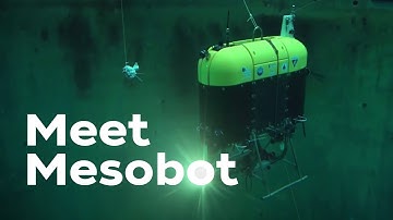 The story behind Mesobot