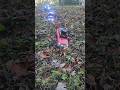 DownHill Crawlin Ain't Easy!! 🚚 🛻🚛🌳🪨 #rcaction #rccrawler #trx4m #rc4x4offroad #rccarchallenge
