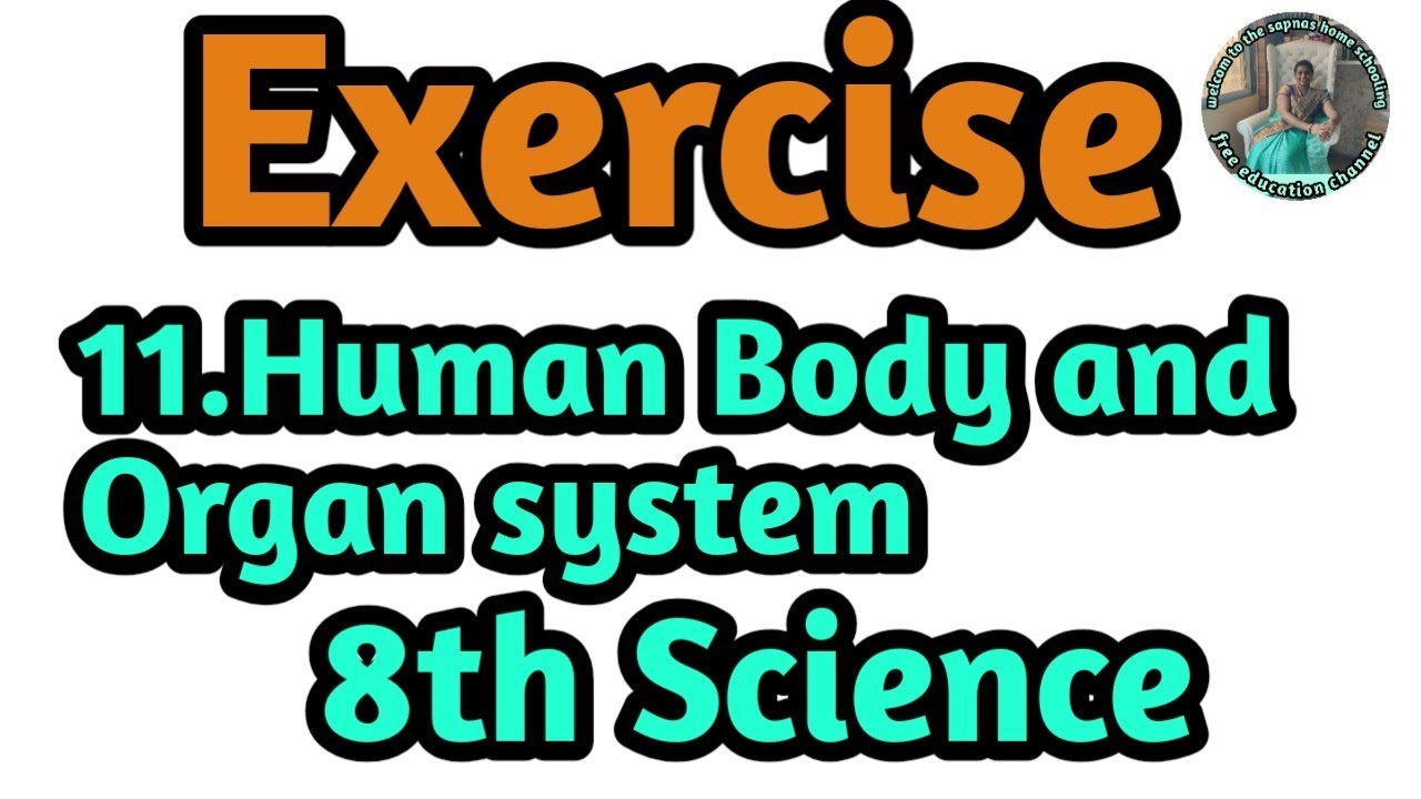 11.Human Body and Organ system Exercise 8th std Science - YouTube