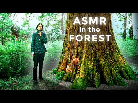 ASMR in the🌲FOREST🌲
