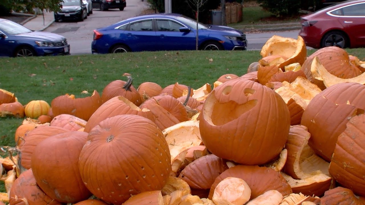 Pumpkin Smash 2023