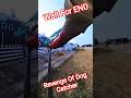 Revenge Of Dog Catcher Gojo #gojo #dog #ytviral #shorts #streetdogrevival #pets #animals