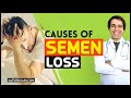 Causes Of Semen Loss Herbal Treatment to Cure Spermatorrhea Symptoms