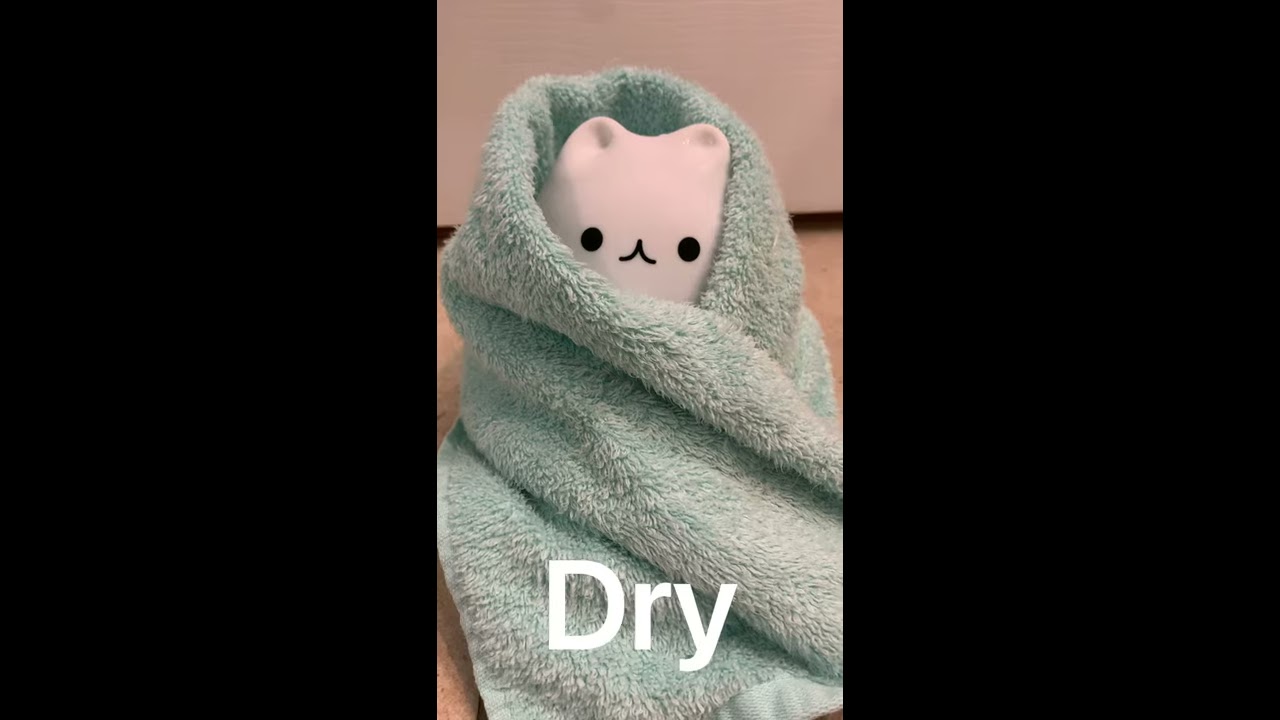 Eggcat Morning Routine