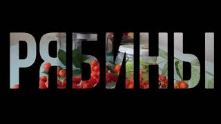 Витаминный напиток из ягод красной рябины Витаминный напиток из ягод красной рябины