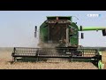Žetva pšenice u Slavoniji i Baranji u punom je jeku