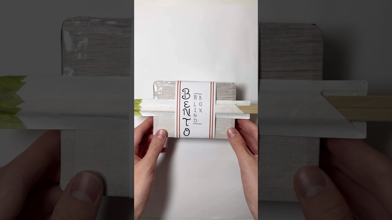 BENTO BLIND BOX paper diy 🍱 
