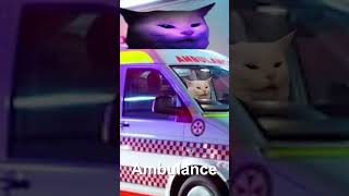 Angry Cat Sound Variations