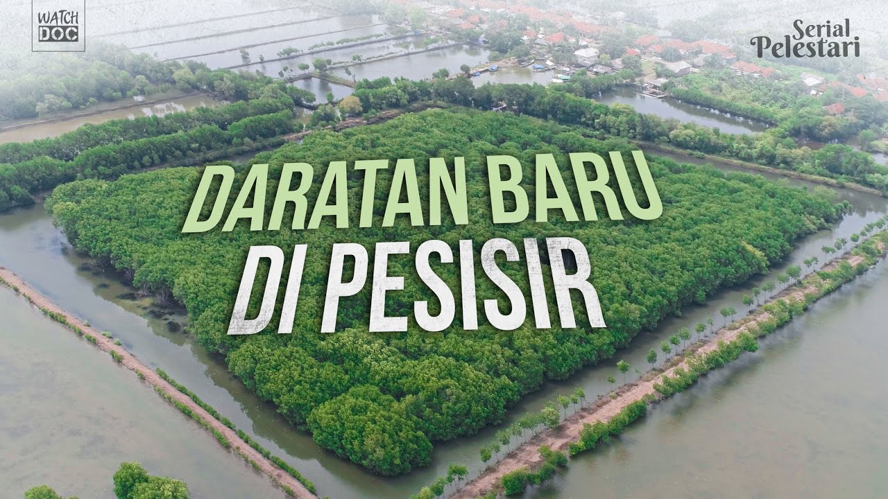 DARATAN BARU DI PESISIR | PELESTARI