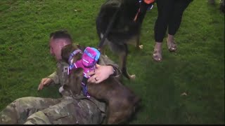 Nearly 300 Fort Stewart soldiers return home after six-month deployment to Germany