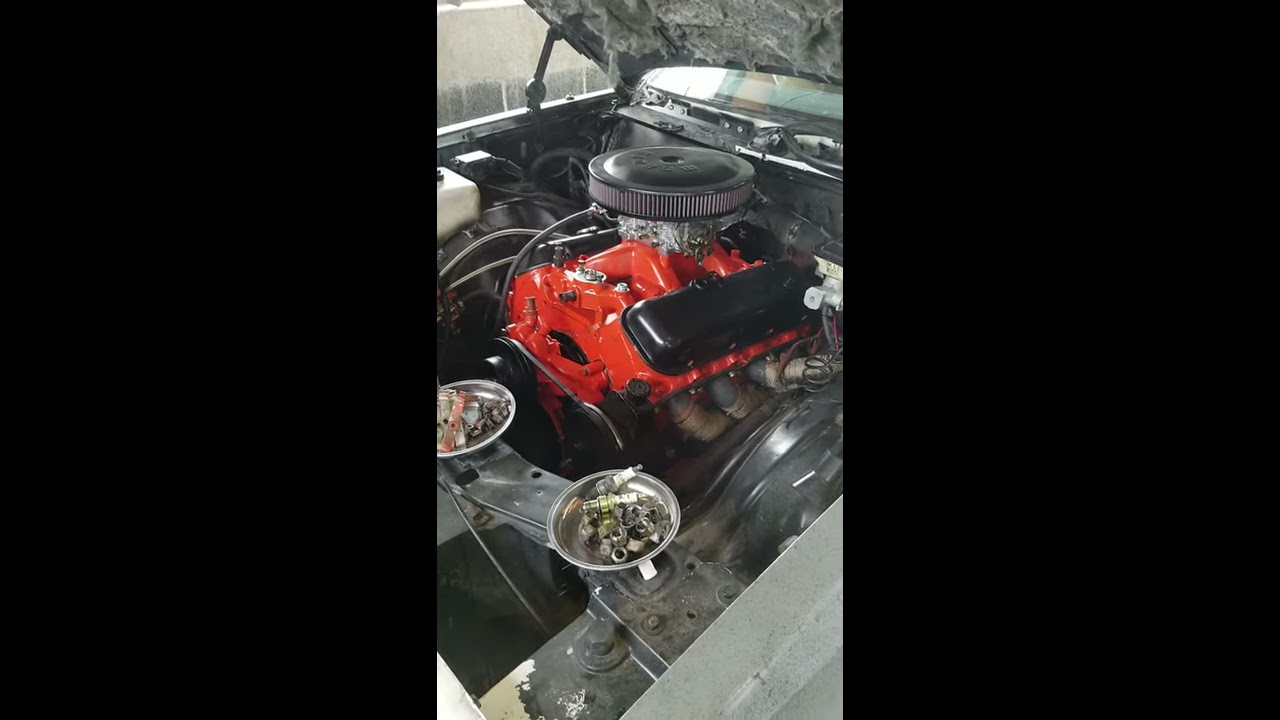 Ford 460ci Big Block OR Chevy 454 Shorts